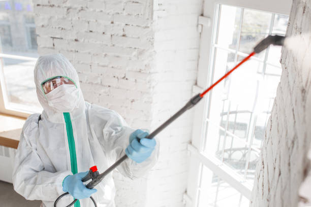 Best Asbestos and Lead Testing During Mold Inspection  in Helemano, HI