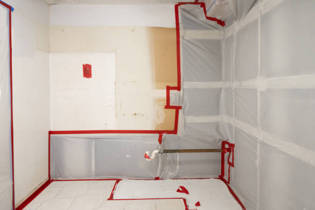 Best Crawl Space Mold Remediation  in Helemano, HI