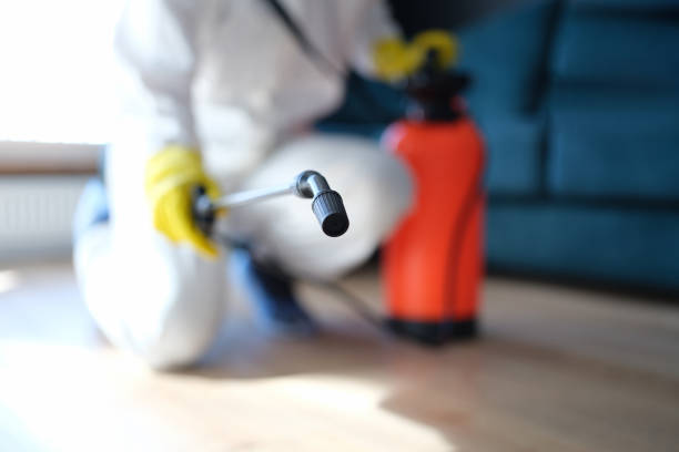 Best Crawl Space Mold Remediation  in Helemano, HI